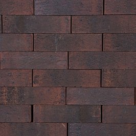 Клинкерный Кирпич Экоклинкер, Бордо, Декор "Нептун"
